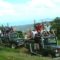 7-Hour 4WD Wild Jungle Safari Tour