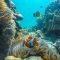 tour_img-1853097-145