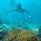 tour_img-1853132-145