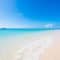 tour_img-1853162-145