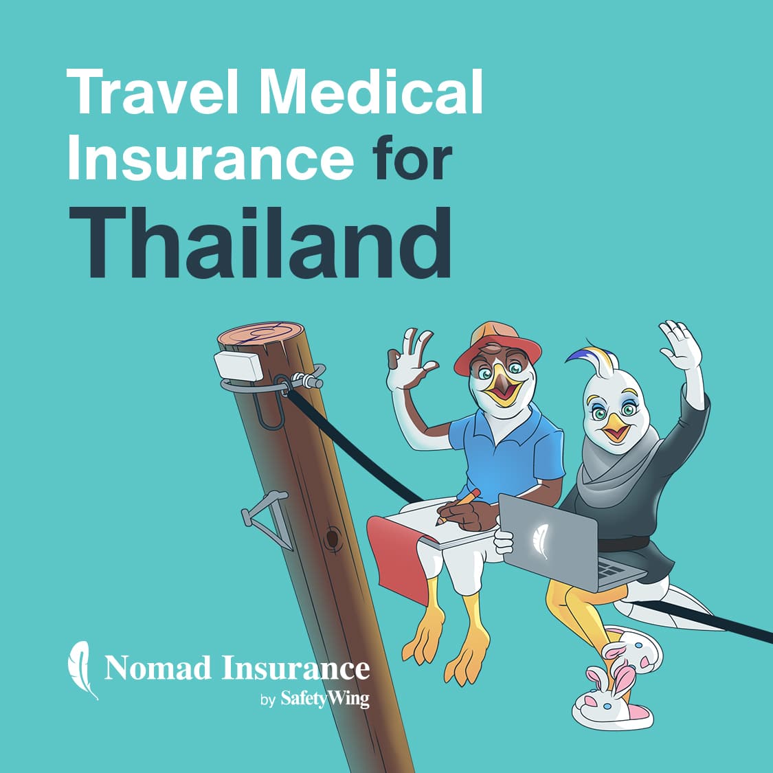 SafetyWing Insurance