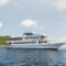 Pawara: Thailand Liveaboard Diving Trip